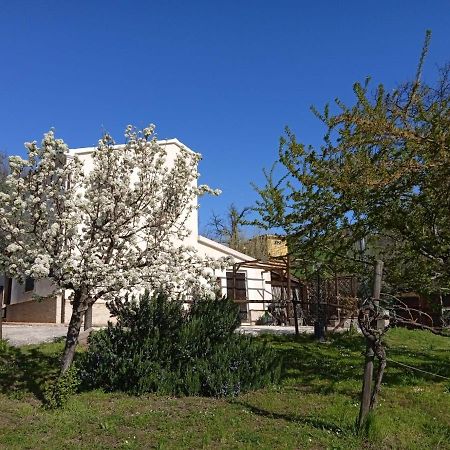 몬다비오 Sotto L'Ulivo B&B 외부 사진
