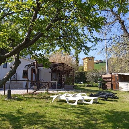 몬다비오 Sotto L'Ulivo B&B 외부 사진