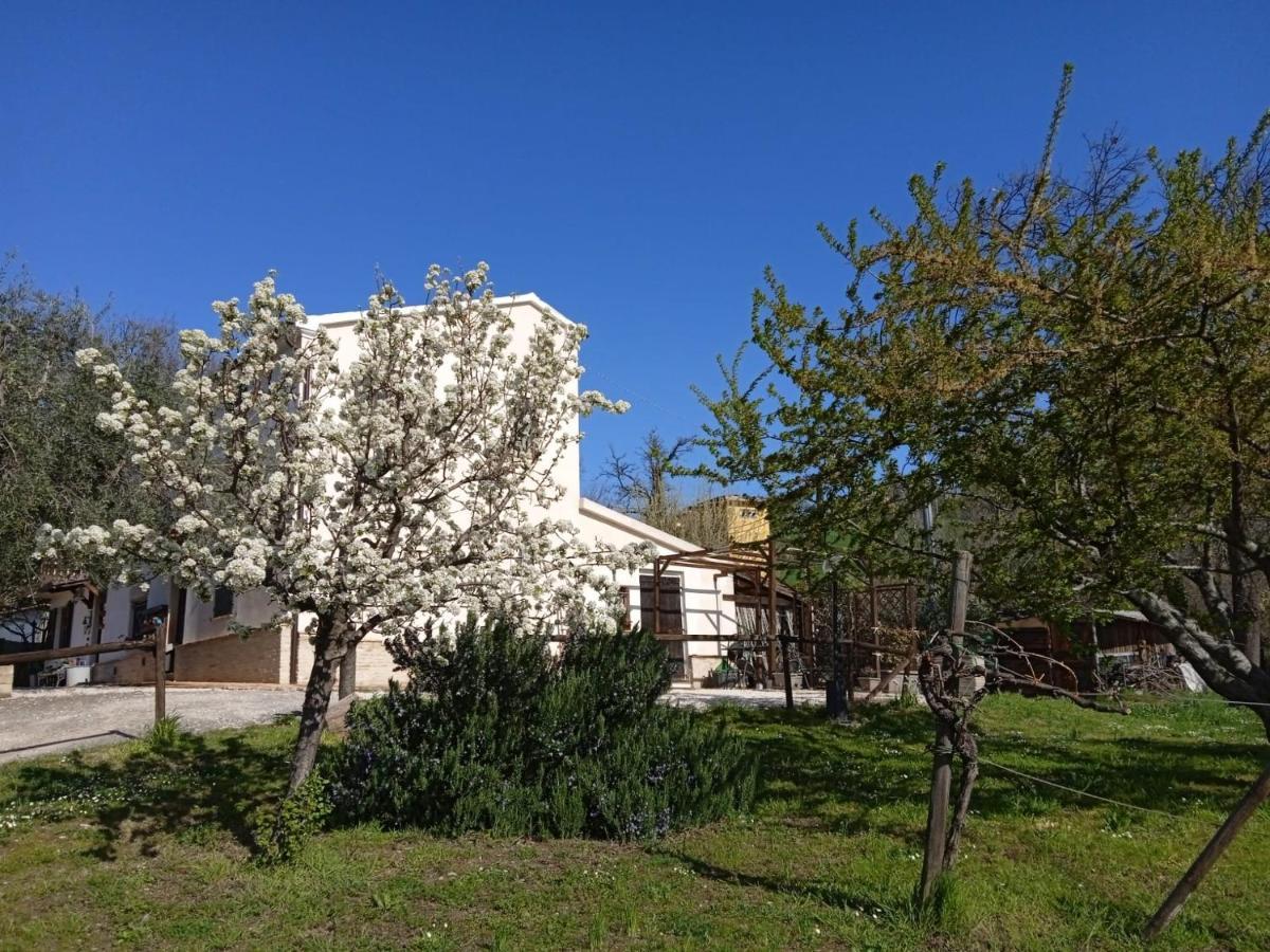 몬다비오 Sotto L'Ulivo B&B 외부 사진