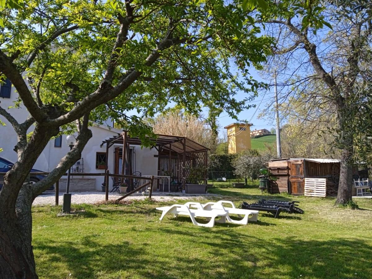 몬다비오 Sotto L'Ulivo B&B 외부 사진