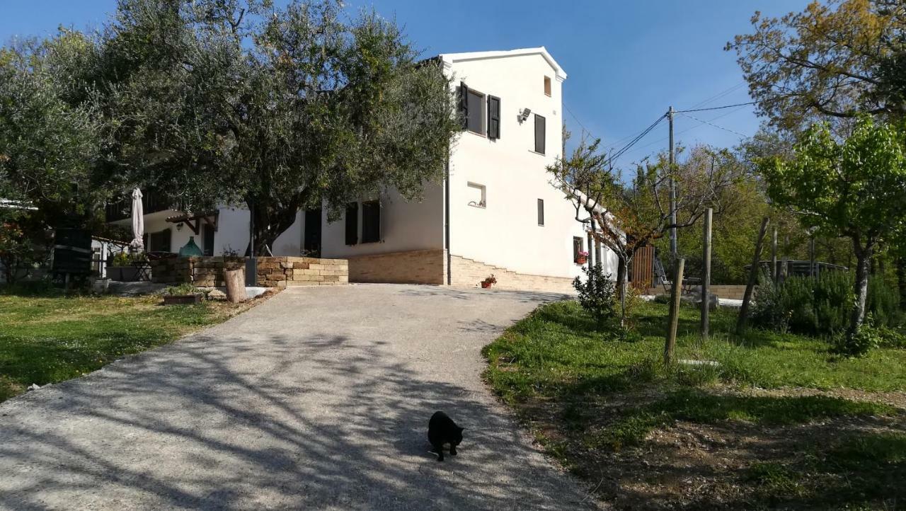몬다비오 Sotto L'Ulivo B&B 외부 사진