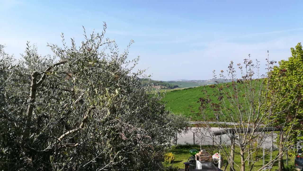 몬다비오 Sotto L'Ulivo B&B 외부 사진